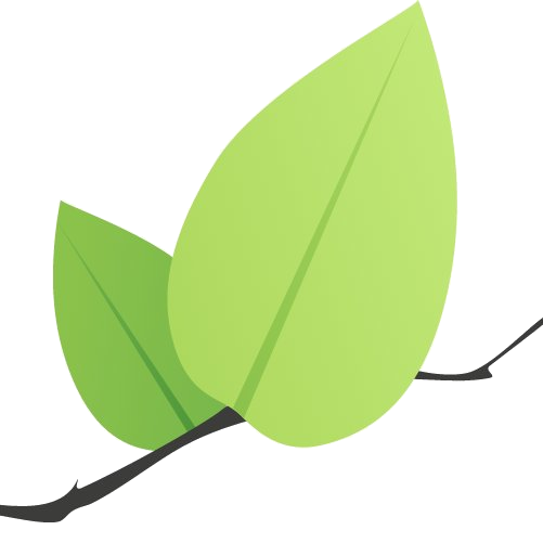 Leaflet